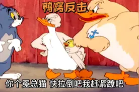 搞笑配音：汤姆顺手牵小鸭，鸭妈妈生气嘎嘎嘎鸭爸爸直接要削他😂视频封面