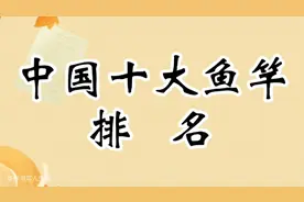 中国十大鱼竿排名，您知道吗？视频封面
