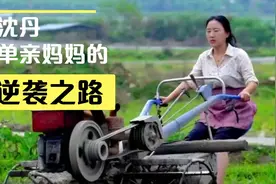 沈丹：福建农村单亲妈妈逆袭成千万网红，带领全村走上致富道路！视频封面