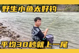 朋友约小兜去河里钓鱼，野生小鱼疯狂咬钩，每隔半分钟就能上一条视频封面