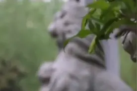 河北美术学院明明是一所民办院校，却宣称自己是国内九大美院之一视频封面