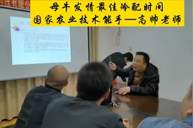 母牛发情最佳冷配时间，国家农业技术能手高帅老师授课视频封面