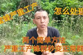 蜜蜂严重工产怎么办？如何才能清除工产蜂？这两个方法百分百有效视频封面