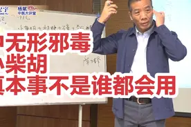 解无形邪毒，小柴胡，不是谁都会用的真本事！视频封面