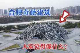 安徽合肥奇葩的鸟巢建筑，耗资1.8亿打造，被网友吐槽像柴火堆