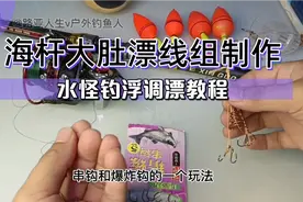 海杆串钩爆炸钩水怪绑法，水怪钓浮调漂新手必学教程看一遍就会。视频封面