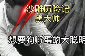 大聪明视频封面