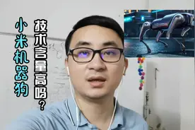 美国波士顿动力没有开源机器狗项目，国内厂家不能研发出机器狗视频封面