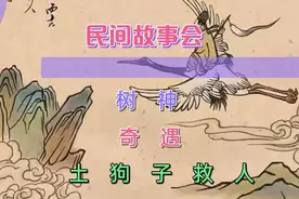 睡前民间故事会大全，古代民间故事短篇合集视频封面