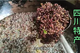 正宗四川花椒油的选料，制作过程！麻味十足，鲜香扑鼻！!视频封面