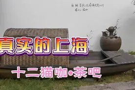真实的上海（十二猫咖•茶吧）视频封面