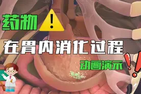 药物在胃内消化过程，动画演示视频封面