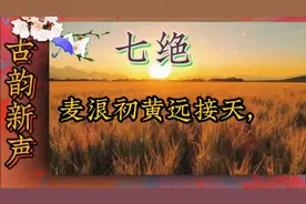 原创近体诗七绝～新农村农忙巨变～