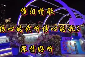 新歌推荐《伤心的我听伤心的歌》，爱上你是不是我犯的错，听哭了视频封面
