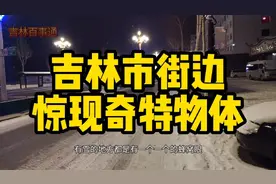 吉林市街边惊现奇特物体，白色颗粒类似珍珠般圆润，带大家了解下视频封面