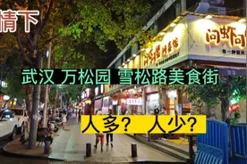 疫情下的武汉，万松园雪松路美食街，人多还是人少？现场实景！视频封面