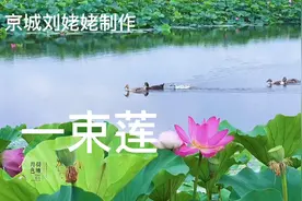 军中音色最漂亮的男高音歌唱家孙维良的一首《一束莲》歌美景也美视频封面