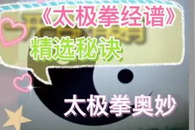 《太极拳经谱》(精选)由陈鑫创作，道出了太极拳的奥妙与功用。视频封面