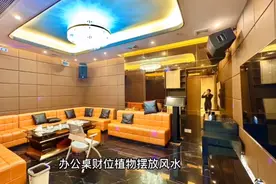 办公桌财位植物摆放风水视频封面