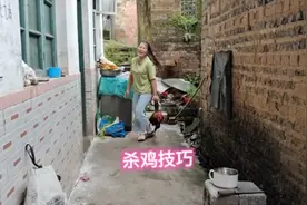 杀鸡时只要下刀的穴位找的准，杀一只死一只，方法简单好学会