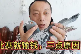 比赛就输钱，三点原因，决定你的输赢！视频封面