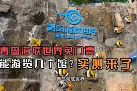 青岛海底世界免门票7个月！到底能免票几个展馆？实测来了视频封面