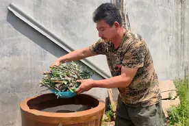 用柳树枝做成的生根水，催枝生根效果杠杠的，你知道怎么做吗？视频封面