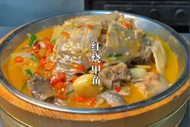 厨师长教你“红烧甲鱼”正宗做法，口感鲜嫩，肉质Q弹，实在是香