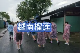 越南榴莲好臭，谁闻谁就恶心视频封面