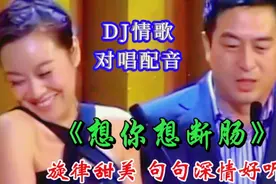 张嘉译/闫妮情歌对唱《想你想断肠》旋律优美歌声醉人，太好听了视频封面