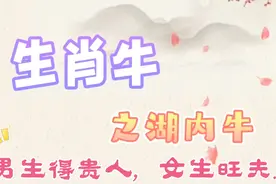 生肖牛:1997年男生易得贵人，女生旺夫...？丁丑年生人点赞收藏视频封面