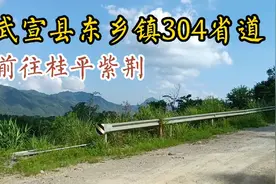 武宣县东乡镇304省道，往桂平紫荆视频封面