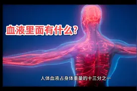 【有趣的科普】血液里面有什么？