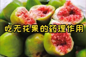 无花果的神奇药用，吃无花果不但口感好还可以延年益寿，强身健体视频封面