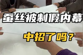 表面是蚕丝被，实际是化纤被，高喊199十斤的蚕丝被，有多假？视频封面