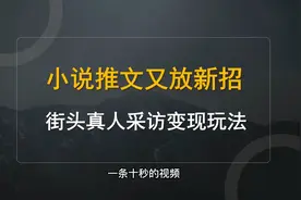 小说推文又放新招？街头采访变现玩法拆解，全程干货分享！