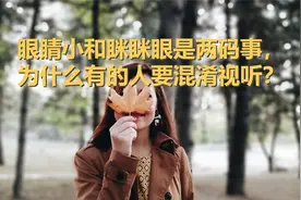 网上热议的“眼睛小”话题与西方文化有什么关联？视频封面