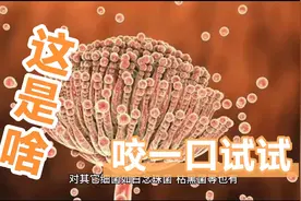 不锈钢-钢材中的战斗钢（下集）视频封面