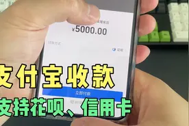 个人和小微也可申请支付宝商业版收款码，无需执照，费率仅0.38%视频封面