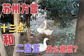 苏州方言常常提到十三点是什么意思？为什么？与二百五一个意思吗视频封面