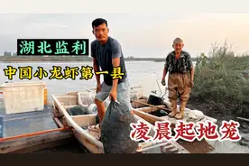 湖北监利，小龙虾养殖第一县，实拍虾农起地笼，100亩年入近20万视频封面