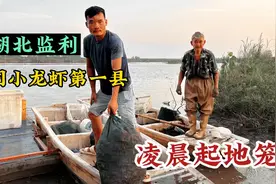 湖北监利，小龙虾养殖第一县，实拍虾农起地笼，100亩年入近20万视频封面