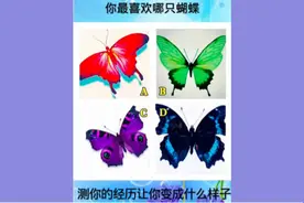 心理测试：喜欢哪种颜色的蝴蝶？测你的经历让你变成什么样子？视频封面