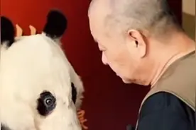 丫丫的爸爸良良去世后做成标本，养育了良良13年的饲养员见到痛哭视频封面