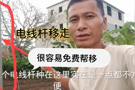 按正常手续申请移走电线杆是免费的，私自请别人移掉的要几千块钱视频封面