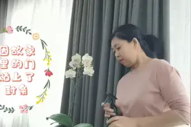 隔离在家的独居女人，喝喝茶，追追剧，做点美食，突然觉得很幸福视频封面