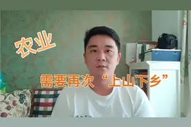 创业9年的80后认为，农业应该再来一次轰轰烈烈的“上山下乡”。视频封面