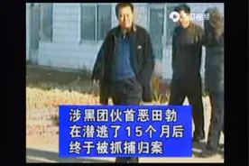 除恶风暴，下，田勃团伙，个个落网（结局）视频封面