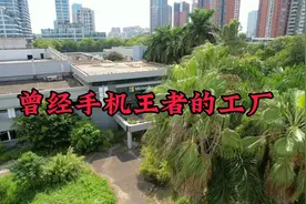 曾经全球手机的王者，诺基亚，如今东莞工厂人去楼空，杂草丛生！视频封面