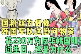 中国粉丝230万给反华韩国明星过生日，给韩国军队送物资，为什么视频封面